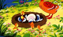 丑小鸭的追求_500字