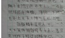 关于母校的作文：回忆母校_800字