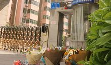 关于母校的作文：母校留在我的记忆深处_550字