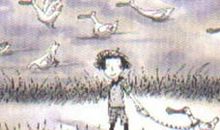 《露露的功课》看后感 _800字