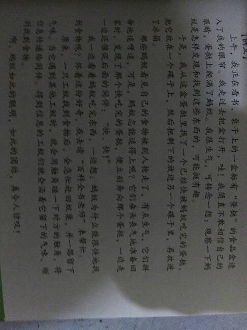 20年后（六年级）_500字