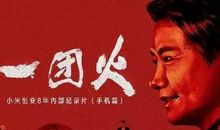 我是一团火_650字