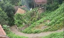 寻找童年的足迹_500字