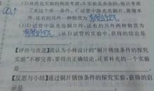 [超新星小初中组]四季的泪_600字