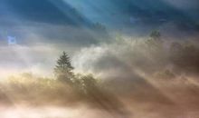 [超新星初中组]上帝的礼物_1200字