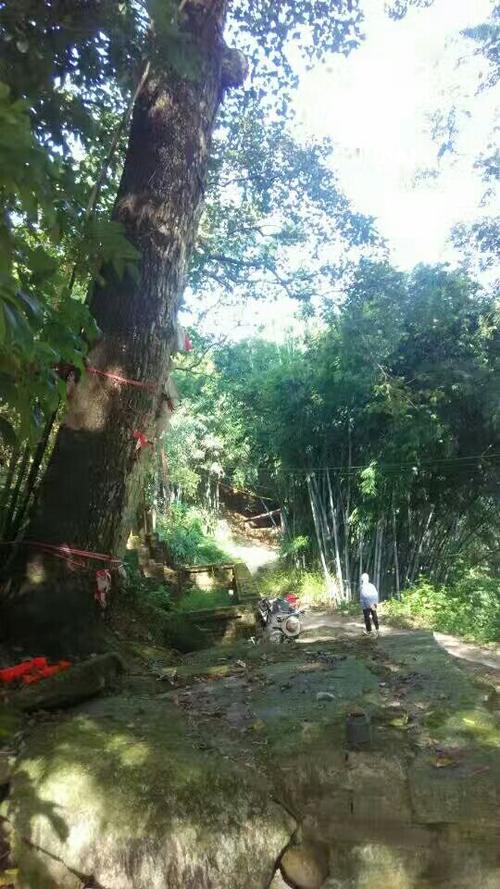 大海忍不住竖起大拇指，真诚赞扬：“老李，你很高，真的很高......”