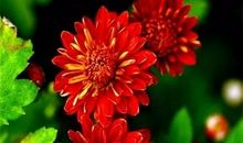 穿越时空的相逢_750字