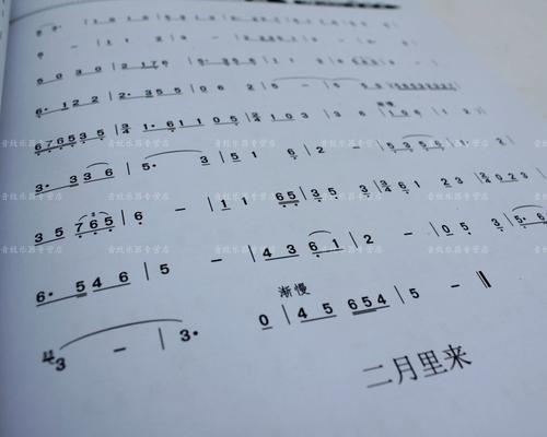 我的音乐道_700字