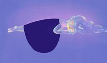 [超新星初中组]倾听它们的声音_1000字