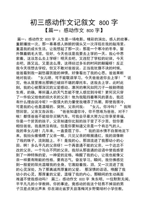 触摸我心中的痕迹_800字