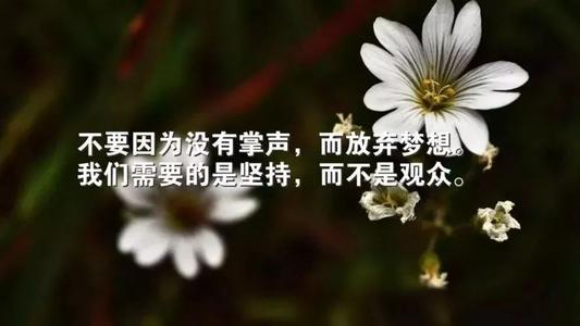 Applaus Power _1000字