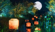 [超新星初中组]轻风伴和，安宁是福_750字