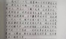 [超新星初中组]成长如树_600字
