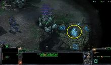 [超新星初中组]自由与束缚_1200字