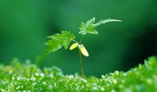 让我们“再见小时候”_1200字