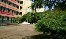 怀念母校_1200字