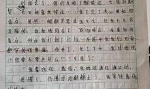 关于母校的作文：难忘母校的木棉树_1500字