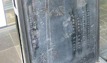 母校带给我的笑与泪_600字