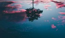 [超新星初中组]唯有风，可以穿过荆棘_900字