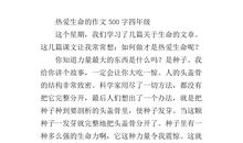 四年级叙事作文：做寿司_450字