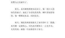 四年级叙事作文：买口罩_450字