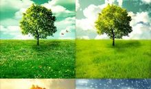 感受四季_1000字