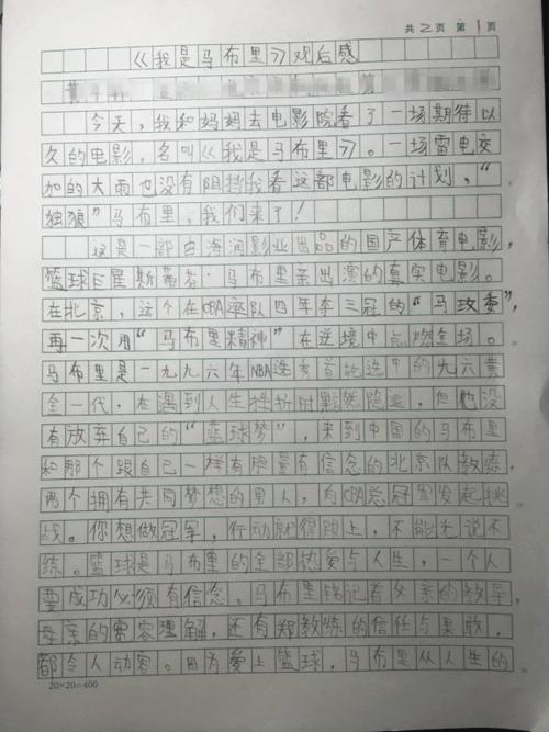 追逐希望_700字