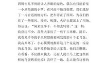 四年级叙事作文：心中长明红绿灯_450字