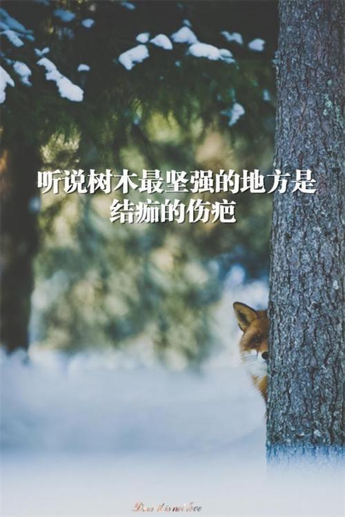 学会成为强大的_2000字