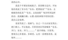 钢琴，我恨你_400字