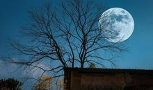 写景作文：小村夜色_600字