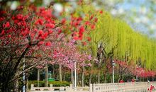 二月的风_1200字