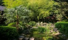 游望江公园_800字