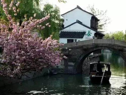 江南梦想_250字