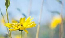 [超新星初中组]被温暖照亮_800字