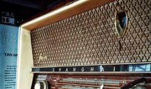 [超新星初中组]阿梅的渴望_1200字