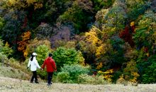 [PK赛]关于前行的作文：路在脚下_550字