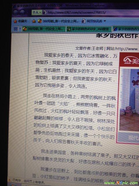 我爱我的家乡_450字