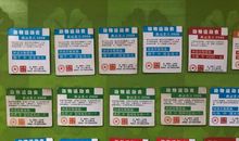 动物运动会_400字