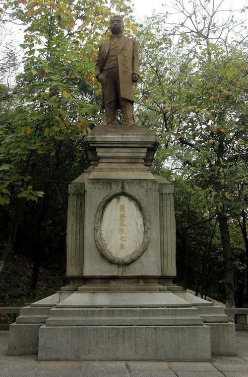 宝山公园树_350字