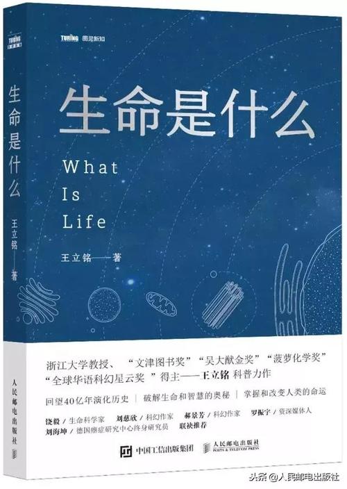 生活是什么？ _1200字