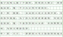 写景作文：白色山茶花_200字