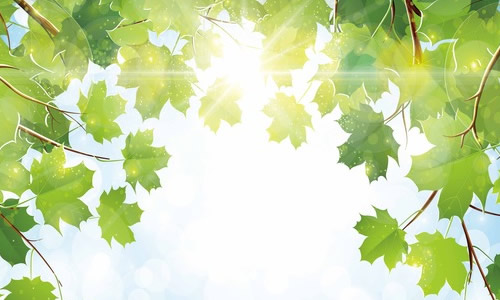 梦露的阳光_1000字