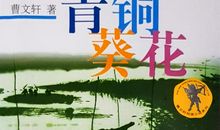 我感动——读《青铜葵花》有感_550字