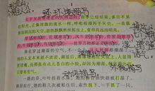 人生的指明灯——姥姥_750字