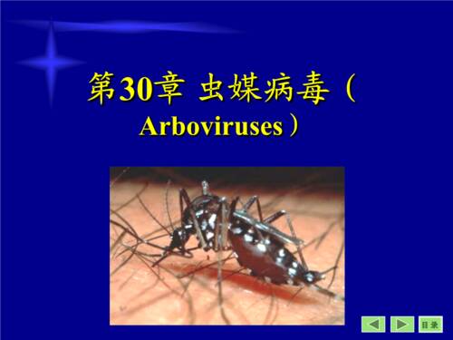 第三章想从