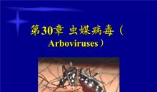 第三十章 欲火远离