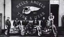 开往地狱的牛车