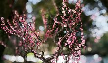 那条寂寞的长街_2000字