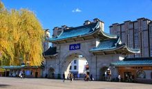 美丽的龙潭山_750字